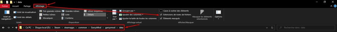 Protéger ses maps du vol